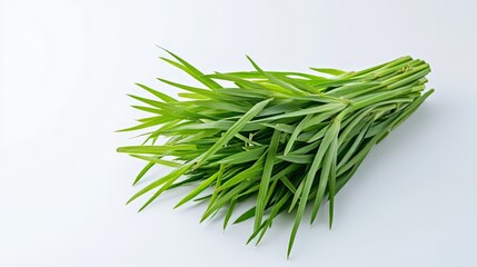 Fototapeta premium Fresh Green Grass Bundle on White Background