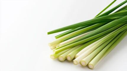 Fresh Lemongrass Stalks on White Background