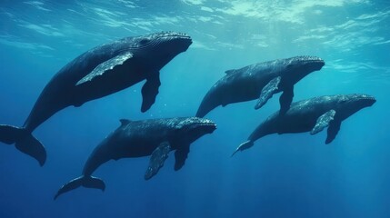 Fototapeta premium Exploring whale songs sonic fluid dynamics visualization in the ocean environment