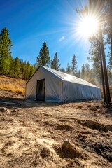Sunny day forest camp with large tent in pine woods