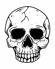Fototapeta premium human skull vector illustration