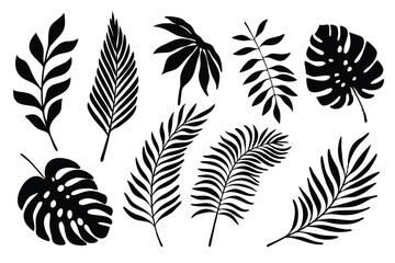 A collection of black silhouettes featuring tropical leaves. Including monstera, palm, and feather-like varieties. Vector illustration set. © royaldudegfx