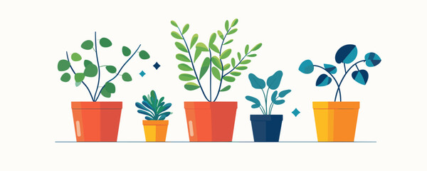 Colorful potted plants arranged in a row on white background - vector