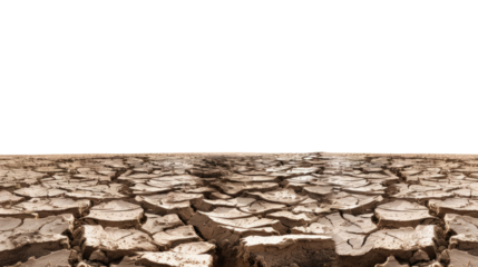 Parched Earth: Close-up of severely cracked, dry earth, symbolizing drought and environmental degradation.