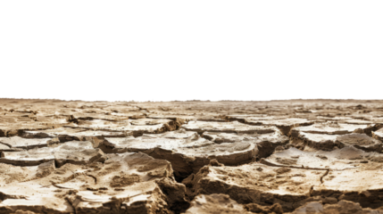 Deserted Earth: The image shows parched, cracked earth under a cloudless sky, signifying aridity and environmental concern.