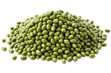 Pile of fresh green mung beans ready