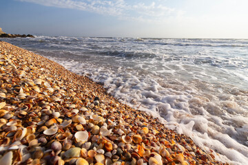 Sea coast and beach with shells