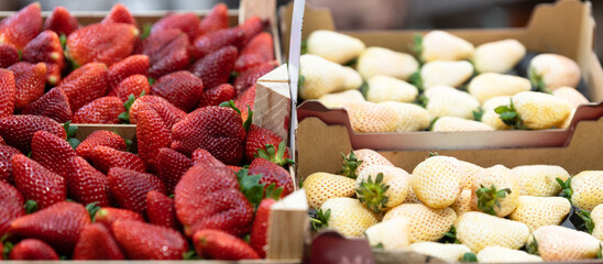 red and white strawberry in a farm market