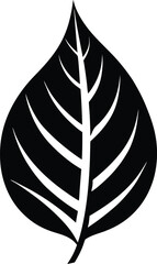 Birch leaf vector silhouette, birch leaf silhouette Vector illustration. leaf vector icon, Birch leaf  