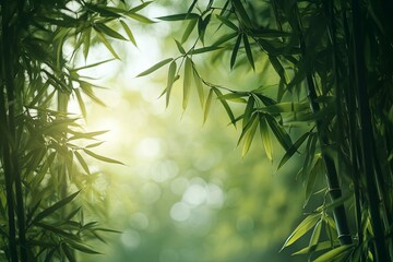 Obraz premium Lush green bamboo plants and leaves basking in sunlight beautifully