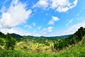 星峠の棚田（新潟県）