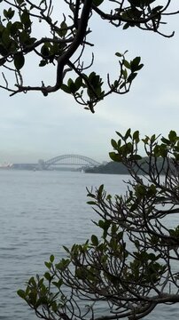 overlooking sydney 