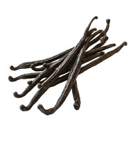 제목 없는 디자인 - 4