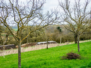 Brennholzlager © focus finder