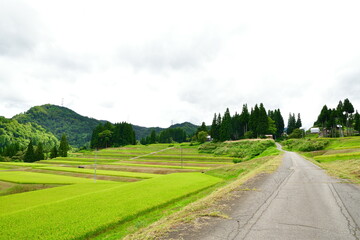 津南の田園風景（新潟県）