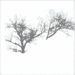 Fototapeta premium Abstract Gray Silhouette Trees against a White Background Illustration
