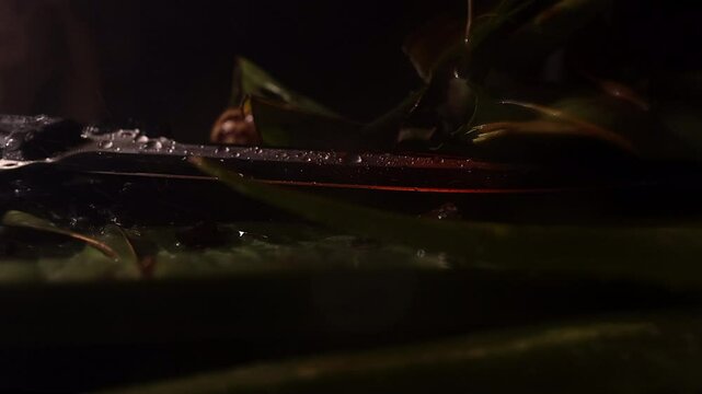 Slow  motion 4k jungle miltary scene knife and hand grenage with camera dolly movement and rain - dolly going right from knife and ending up at heavy rain covering a grenade