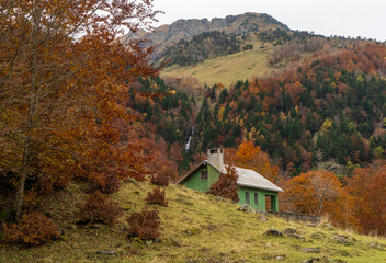Charming Green House Beautifully Surrounded by Vibrant Fall Foliage in a Mountain Landscape