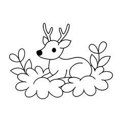 rabbit with a flower coloring book