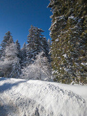 Panorama of Vitosha Mountain, Bulgaria