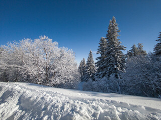 Obraz premium Panorama of Vitosha Mountain, Bulgaria