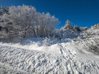 Obraz premium Panorama of Vitosha Mountain, Bulgaria