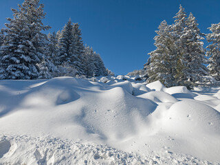 Panorama of Vitosha Mountain, Bulgaria
