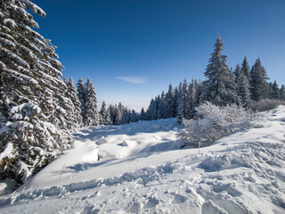 Panorama of Vitosha Mountain, Bulgaria