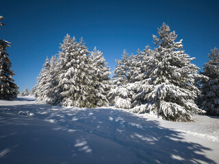 Panorama of Vitosha Mountain, Bulgaria