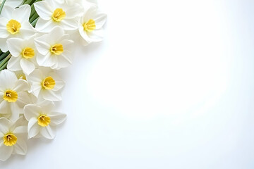 Photo Of White Daffodils With Yellow Centers On White Background