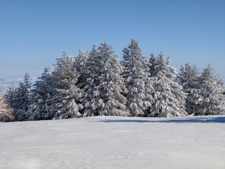 Panorama of Vitosha Mountain, Bulgaria