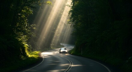 Obraz premium Sunlit Forest Road with Car
