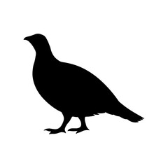 Dusky grouse silhouette vector flat illustration design.