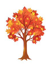 Cute illustrations and vectors