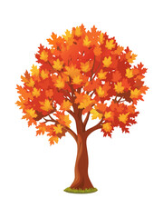 Cute illustrations and vectors