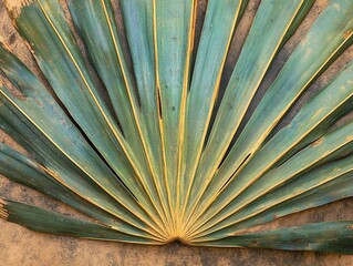 Tropical Palm Leaf Closeup on Sand Creates a Natural Textured Backdrop