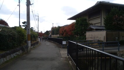 Obraz premium It is a tourist spot in Kyoto, Japan. It is autumn and the maples are in bloom.