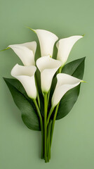 Obraz premium Elegant White Calla Lilies Bouquet Against Green Background Photo