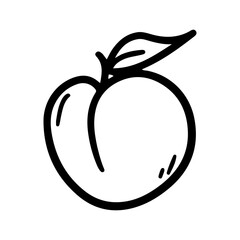 Healthy Peach Fruit Doodle Line Art on Transparent Background. Hand Drawn Coloring Page