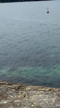 overlooking the ocean