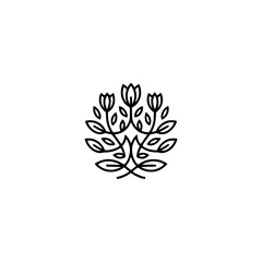 Minimalist Floral Logo Design: Line Art Tulips and Leaves