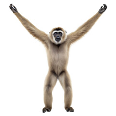 Fototapeta premium Gibbon AI Generated Image