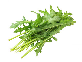 Fresh Dandelion Greens with Bitter and Nutritious Leaves Transparent Background