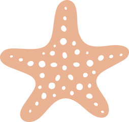 vector illustration of a starfish