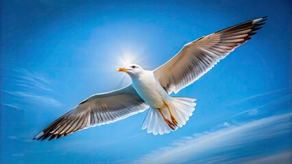 Fototapeta premium Urban Exploration Photography: Seagull Soaring Above Cityscape - Blue Sky, Rooftop, Abandoned Building