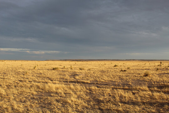 Field with brown grass and dark clouds with full sun in Marfa, Texas