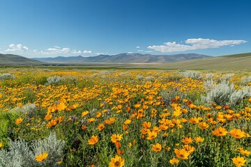 Fototapeta premium An expansive scenic landscape showcasing wildflowers and distant mountain ranges