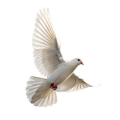 Dove Flying Isolated on Transparent Background Generative Ai.