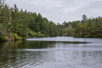 Thetis lake at Thetis Lake Regional Park calm water and overcast day