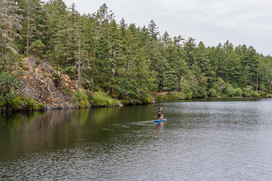Thetis lake at Thetis Lake Regional Park calm water and overcast day